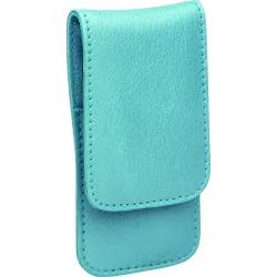 photo de Etui manucre cuir bleu pâle, ciseaux, lime, pince à épiler acier Solingen ERBE