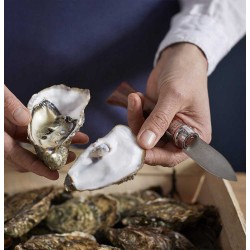 Couteau à Huitres OPINEL n°9 lame inox robuste