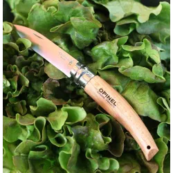 Couteau OPINEL de Jardin N°8 manche hêtre naturel, lame inoxydable