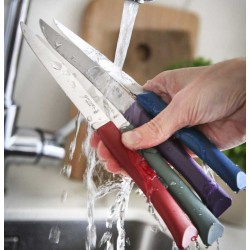 Coffret 4 Couteaux de table Bon appétit + Glam, lave-vaiselle OPINEL