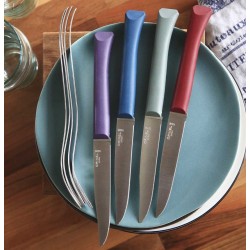 Coffret 4 Couteaux de table Bon appétit + Glam, lave-vaiselle OPINEL