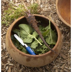 Couteau mon 1er opinel lame arrondie naturel manche bleu