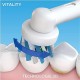 Brosse à dents vitality 170 D100423CR cross action ORAL.B