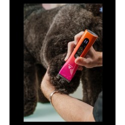 Tondeuse Pro ANDIS ABC-1 animal, spécial salons de toilettage et concours, 150 minutes d'autonomie