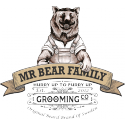  MR BEAR FAMILY